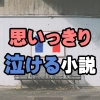 本気で泣ける小説。10代中学生・高校生向け