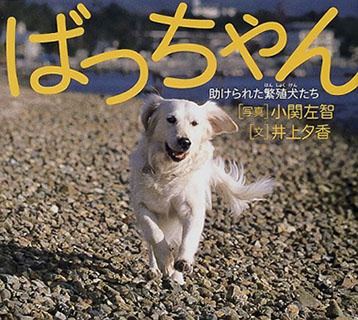 ばっちゃん 助けられた繁殖犬たち