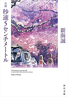 小説 秒速5センチメートル