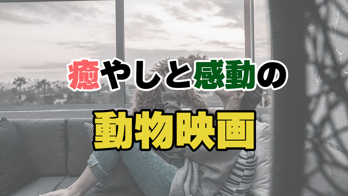 癒やしと感動の動物映画