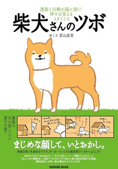 柴犬さんのツボ