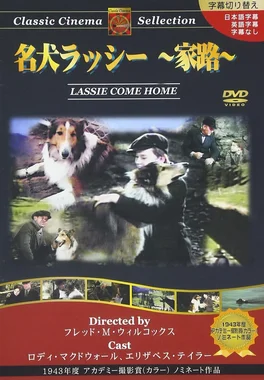 名犬ラッシー 家路