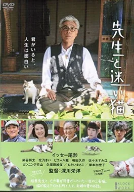 先生と迷い猫