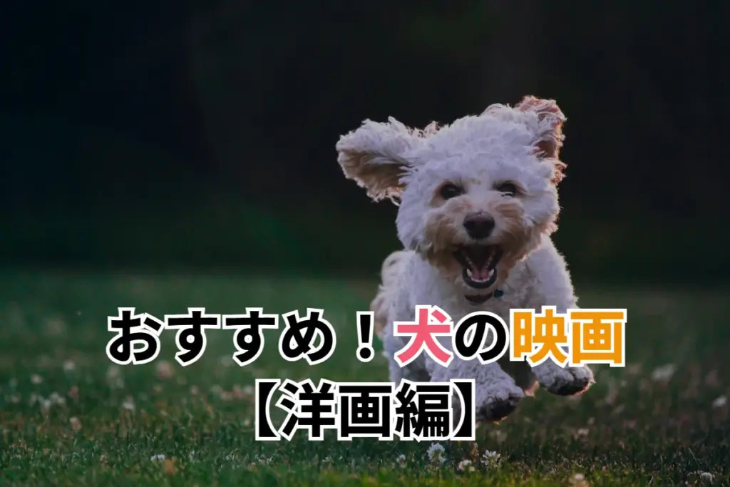 おすすめ！犬の映画【洋画編】