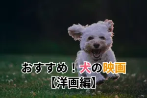 おすすめ！犬の映画【洋画編】